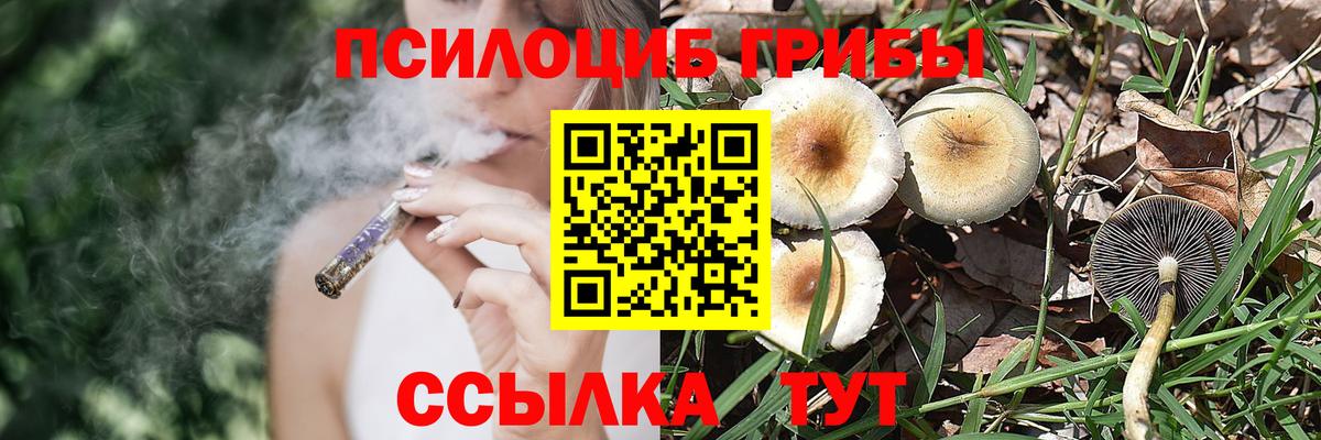 Галлюциногенные грибы Psilocybe  Вход с VPN  Людиново 
